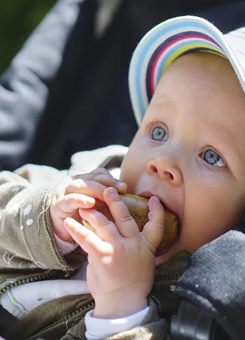 Pièces et documents administratives pour un contrat de travail